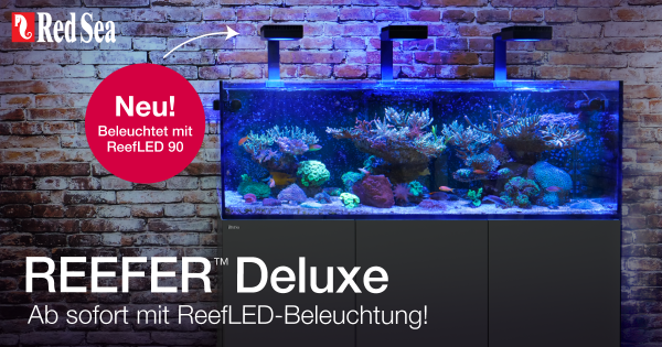 Red Sea REEFER™ Peninsula 650 DeLuxe Komplettsystem - Schwarz Red Sea REEFER™ Peninsula 650 DeLuxe Komplettsystem - Schwarz